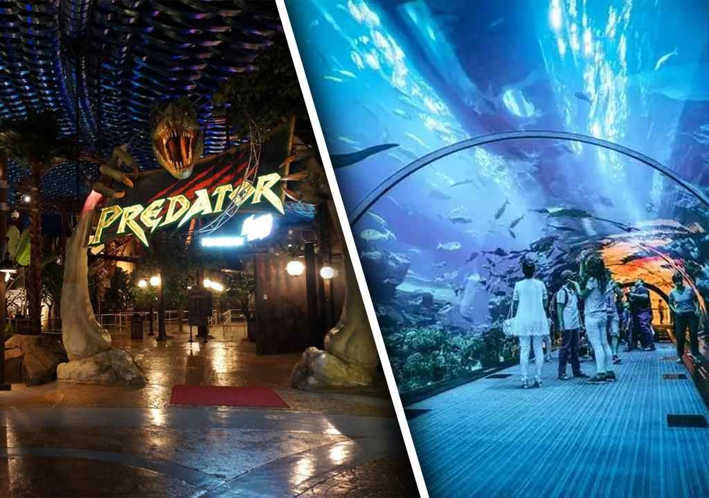 IMG Worlds And Dubai Mall Aquarium Combo